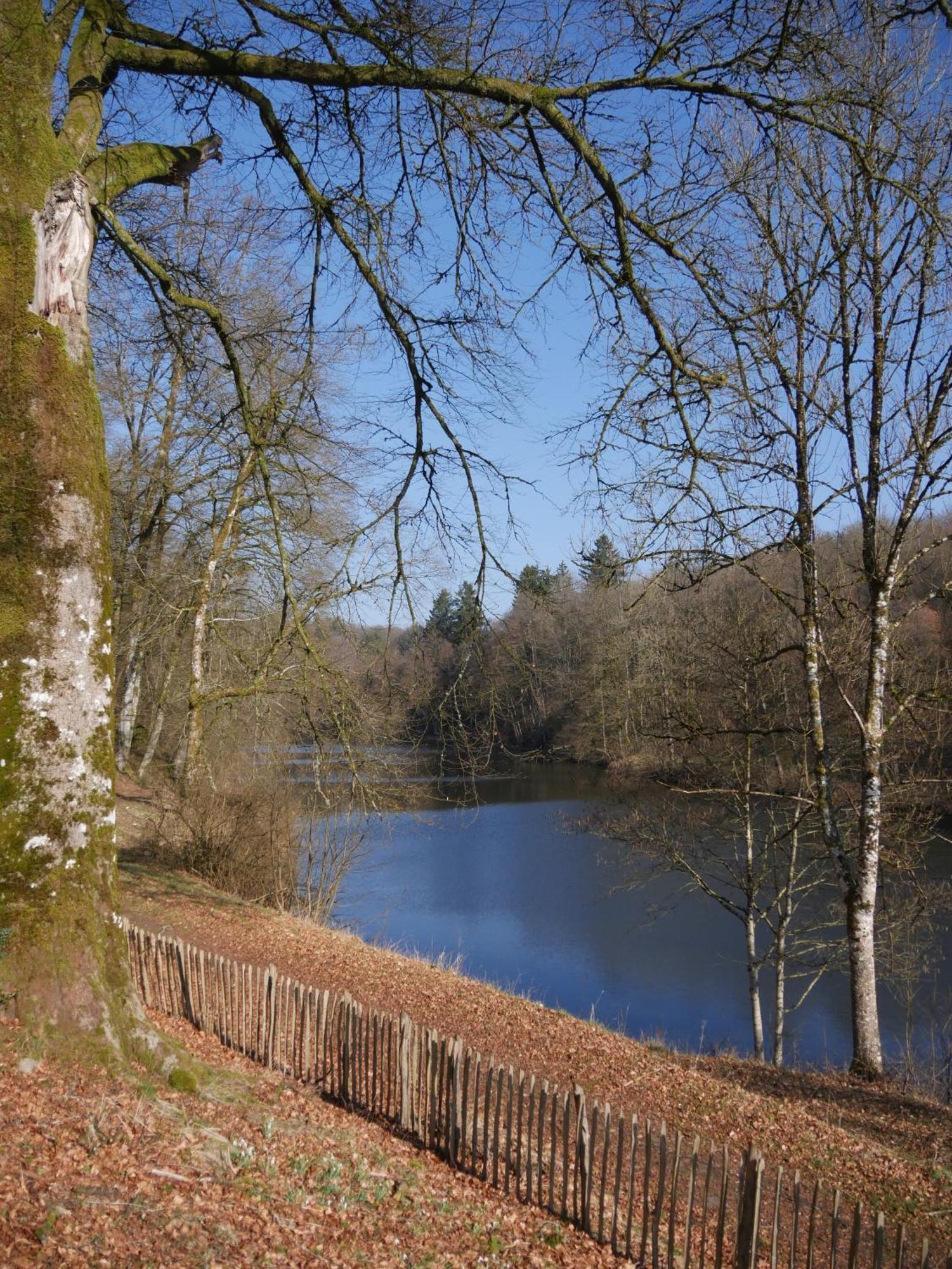 Chateau Du Pont D'Oye Habay-la-Neuve Exteriör bild
