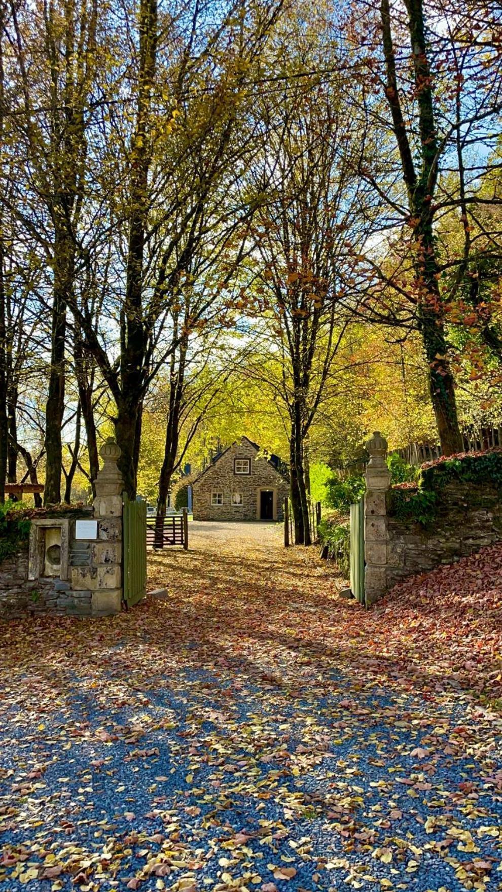 Chateau Du Pont D'Oye Habay-la-Neuve Exteriör bild
